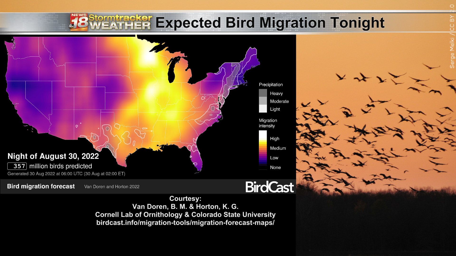 Bird migration forecast.png